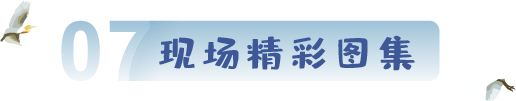 現(xiàn)場圖集